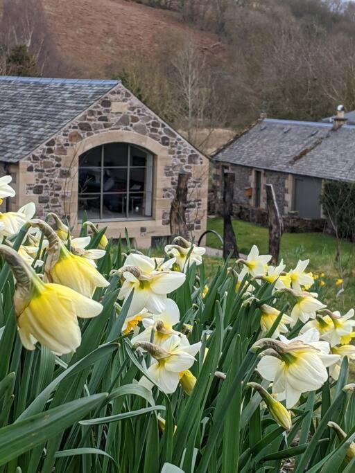 Woodmill Arches - Designer Barn Conversion For Two Apartment Lindores Luaran gambar